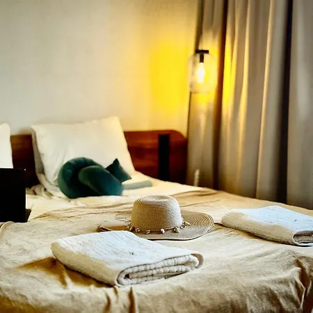 Yoso Tenerife 아칸티라도